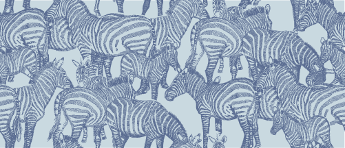 A DAZZLE OF ZEBRAS MOONMIST WITH BLUE NOVA