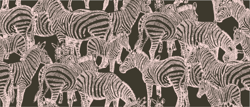 SAFARI WANYAMA A DAZZLE OF ZEBRAS CHARCOAL with rose