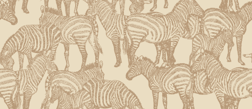 SAFARI WANYAMA A DAZZLE OF ZEBRAS CREAM WITH KHAKI