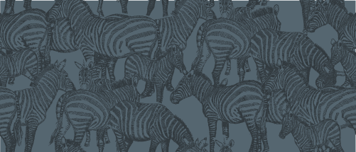 SAFARI WANYAMA A DAZZLE OF ZEBRAS DENIM WITH NAVY-