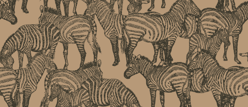 SAFARI WANYAMA A DAZZLE OF ZEBRAS KHAKI WITH CHARCOAL