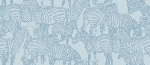 SAFARI WANYAMA A DAZZLE OF ZEBRAS MOONMIST WITH BABYBLUE