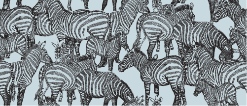 SAFARI WANYAMA A DAZZLE OF ZEBRAS MOONMIST WITH CHARCOAL