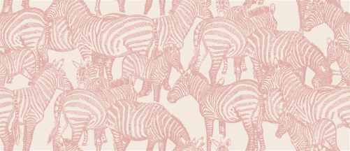 SAFARI WANYAMA A DAZZLE OF ZEBRAS cream with rose