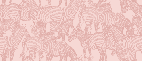 SAFARI WANYAMA A DAZZLE OF ZEBRAS pink with rose