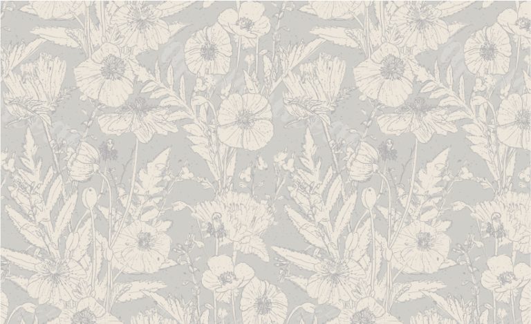 SURFACE PATTERN DESIGN OF hand drawn poppy FLOWERS in toile style on pale blue background with cream background